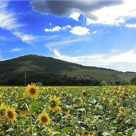 Holiday Il Moro Novo *