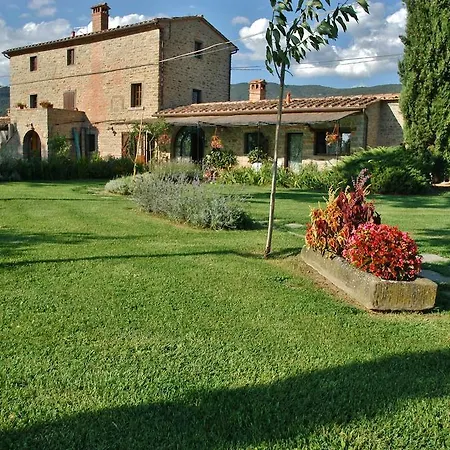 Holiday Il Moro Novo