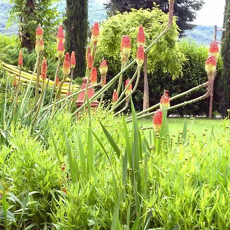 Holiday Il Moro Novo Holiday home Cortona