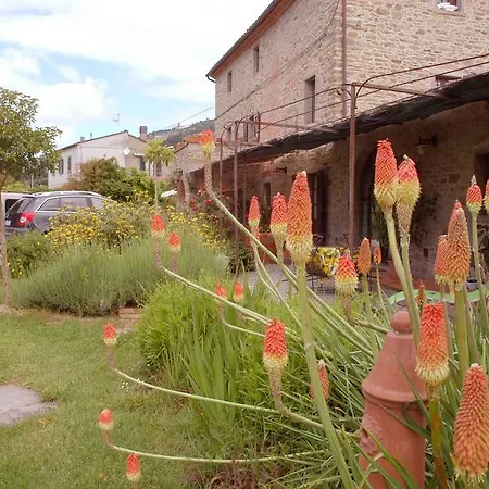 Дом отдыха Il Moro Novo